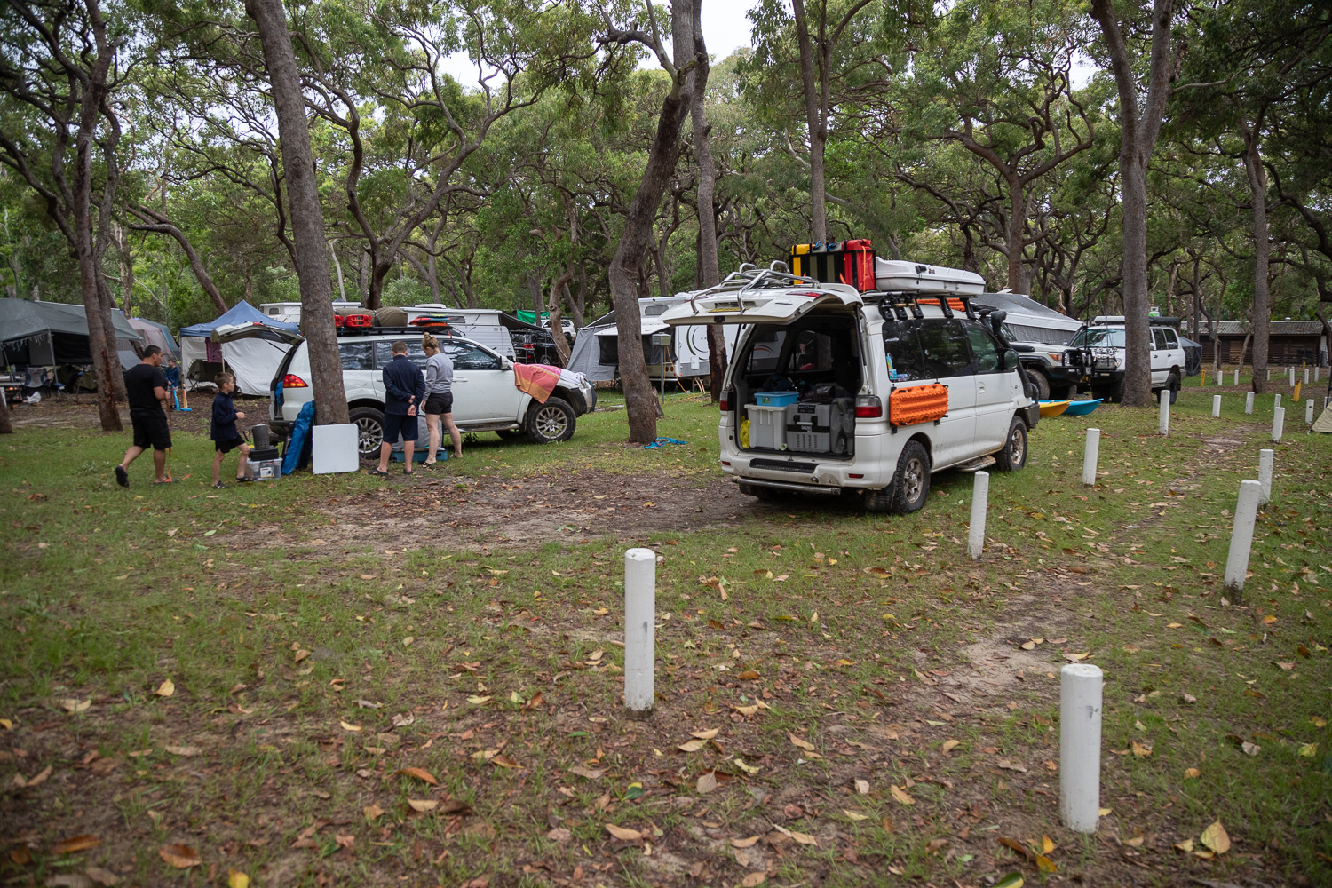 Поездка на Frazer Island, Queensland, Australia (25.12.2021-04.01.2022).  Часть 2: остров Фрейзер