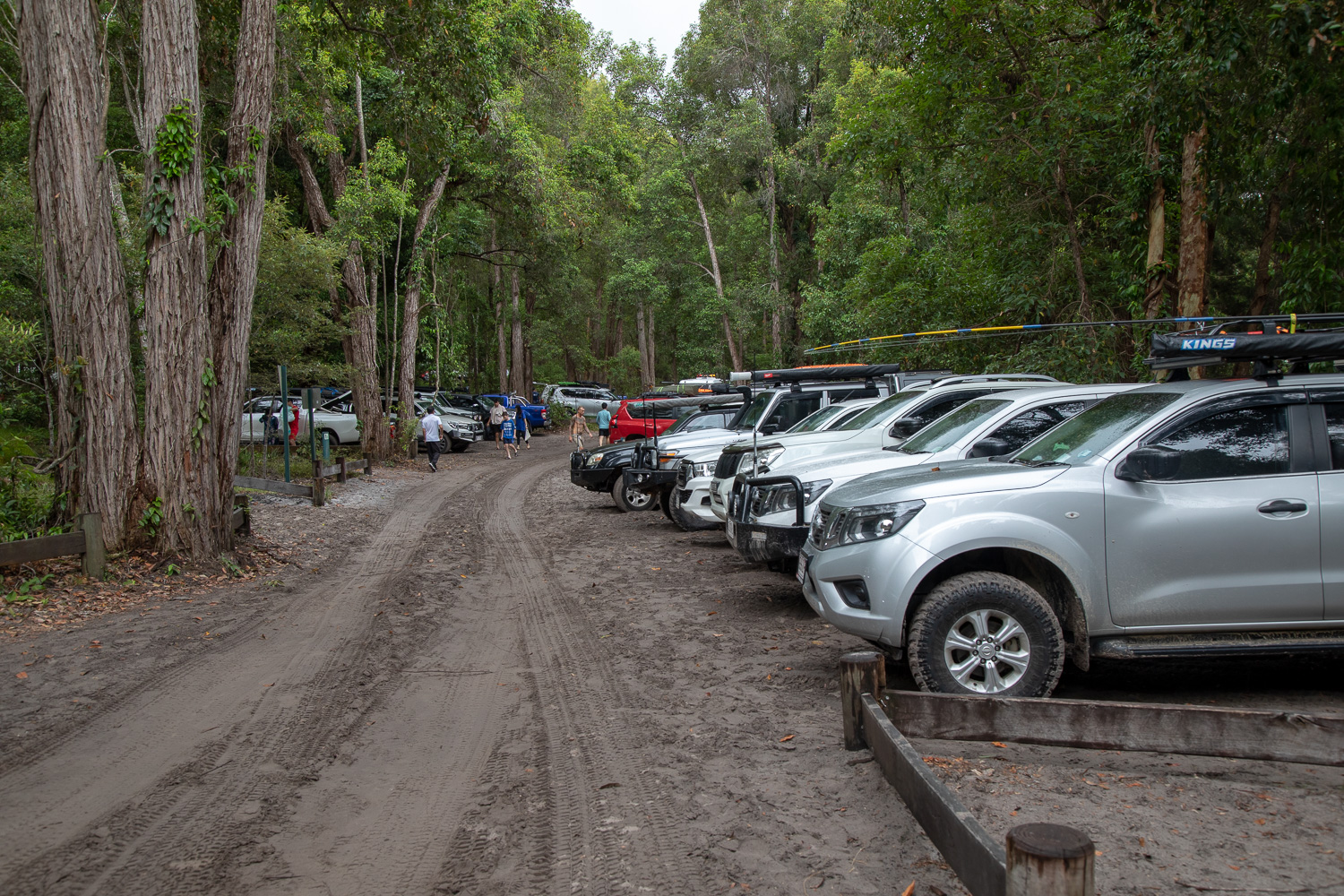 Поездка на Frazer Island, Queensland, Australia (25.12.2021-04.01.2022).  Часть 2: остров Фрейзер